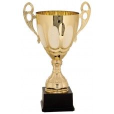 Gold Metal Cup Trophy